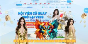 Đá Gà Cựa Sắt Là Gì? Khám Phá Hình Thức Thi Đấu Đầy Kịch Tính