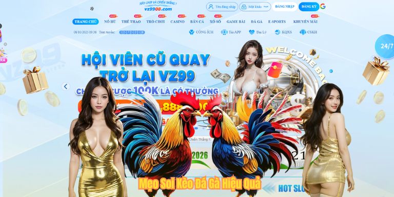 Soi Kèo Đá Gà – Bí Quyết Dành Cho Người Mới Tại VZ99 Mẹo Soi Kèo Đá Gà Hiệu Quả