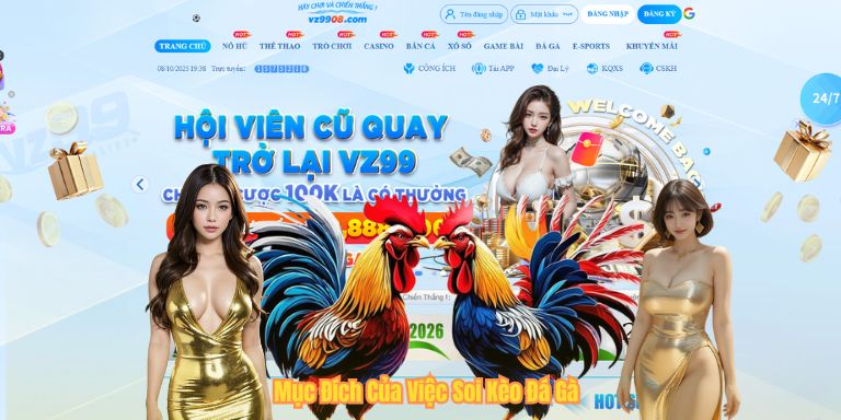 Soi Kèo Đá Gà – Bí Quyết Dành Cho Người Mới Tại VZ99 Mục Đích Của Việc Soi Kèo Đá Gà