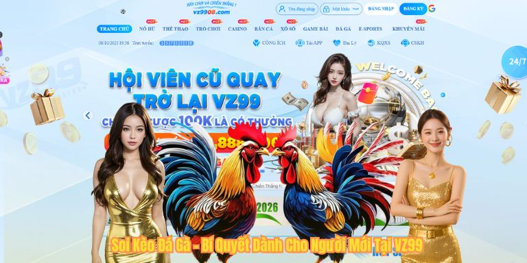 Soi Kèo Đá Gà – Bí Quyết Dành Cho Người Mới Tại VZ99