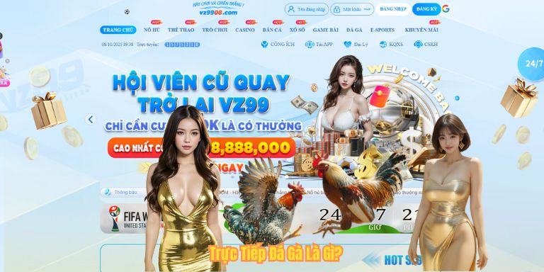 Trực Tiếp Đá Gà Là Gì?